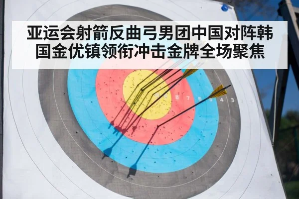 archery target arrows close up