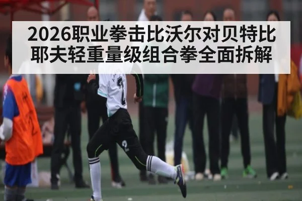 2026职业拳击比沃尔对贝特比耶夫轻重量级组合拳全面拆解 | kaiyun Sports